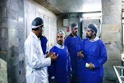 نظارت سختگیرانه بر تولید کنسرو ماهی در جنوب استان؛ سلامت مردم در اولویت